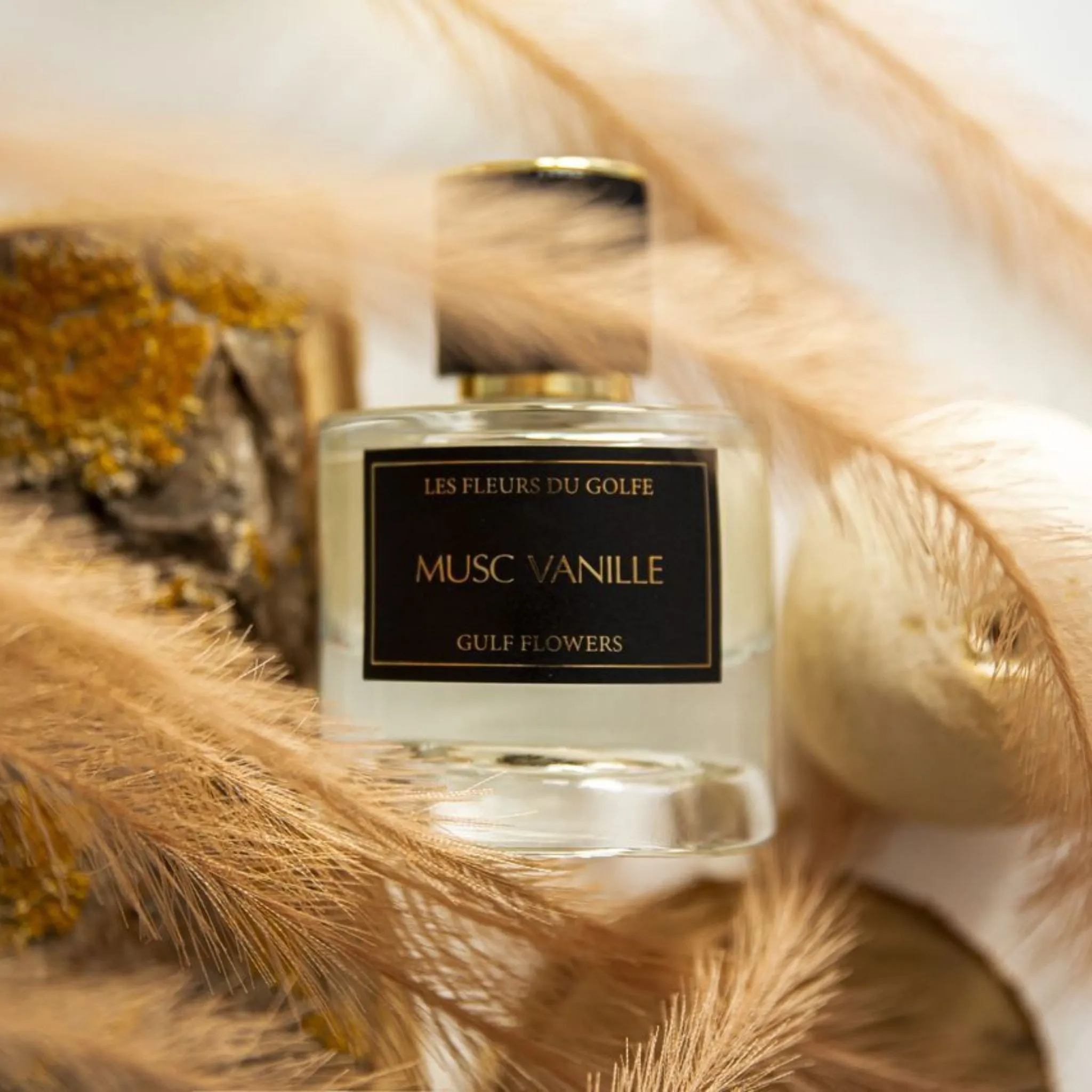 Musc Vanille