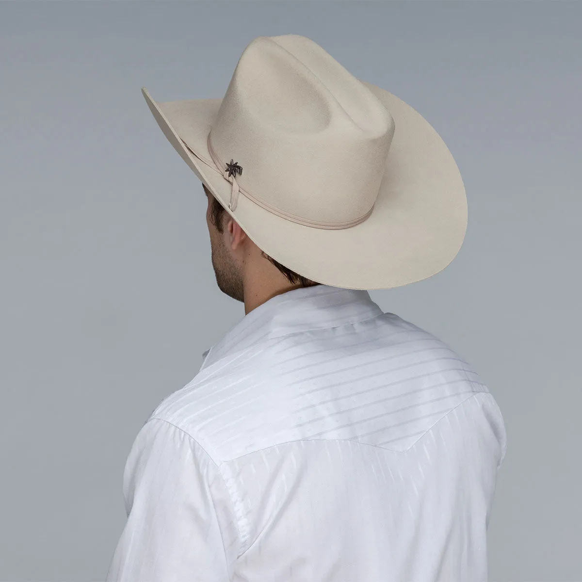 Stampede 2X Bailey